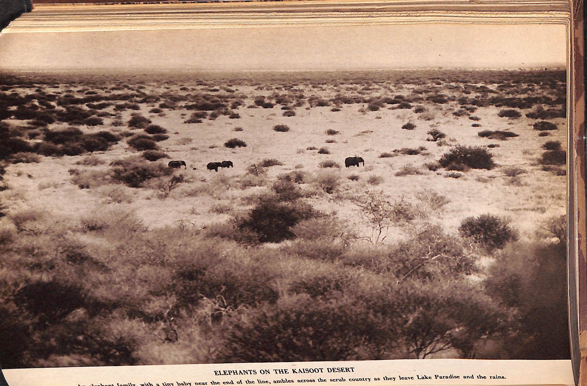 "Four Years in Paradise" 1941 by Osa Johnson (Inscribed!) (SOLD)