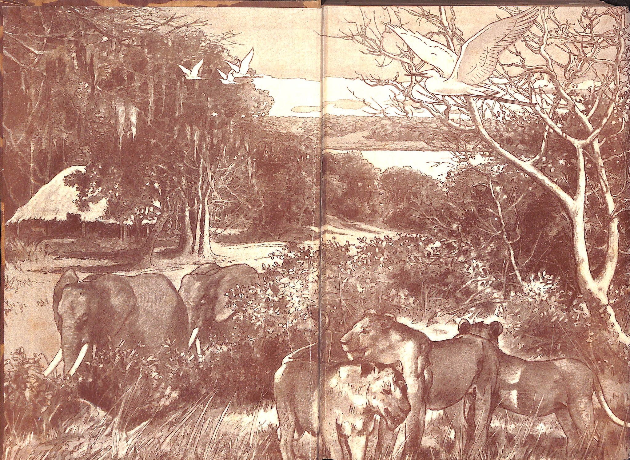 "Four Years in Paradise" 1941 by Osa Johnson (Inscribed!) (SOLD)