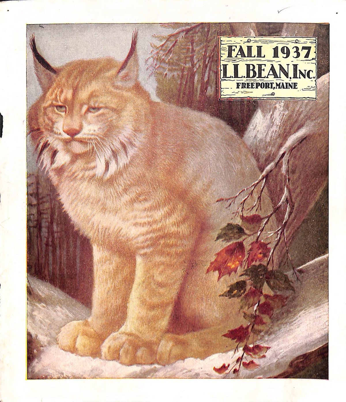 "L.L. Bean (9) Catalog Covers" 19341938