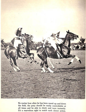 "Horses In Sport" 1937 WRENSCH, Frank A. [edited by]