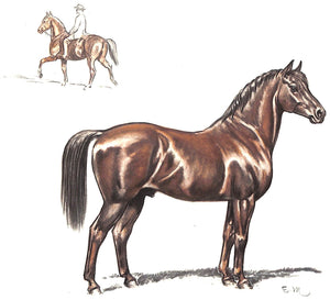 "Horses" 1946 MEGARGEE, Edwin