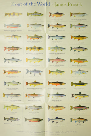 "Trout Of The World" 2003 PROSEK, James