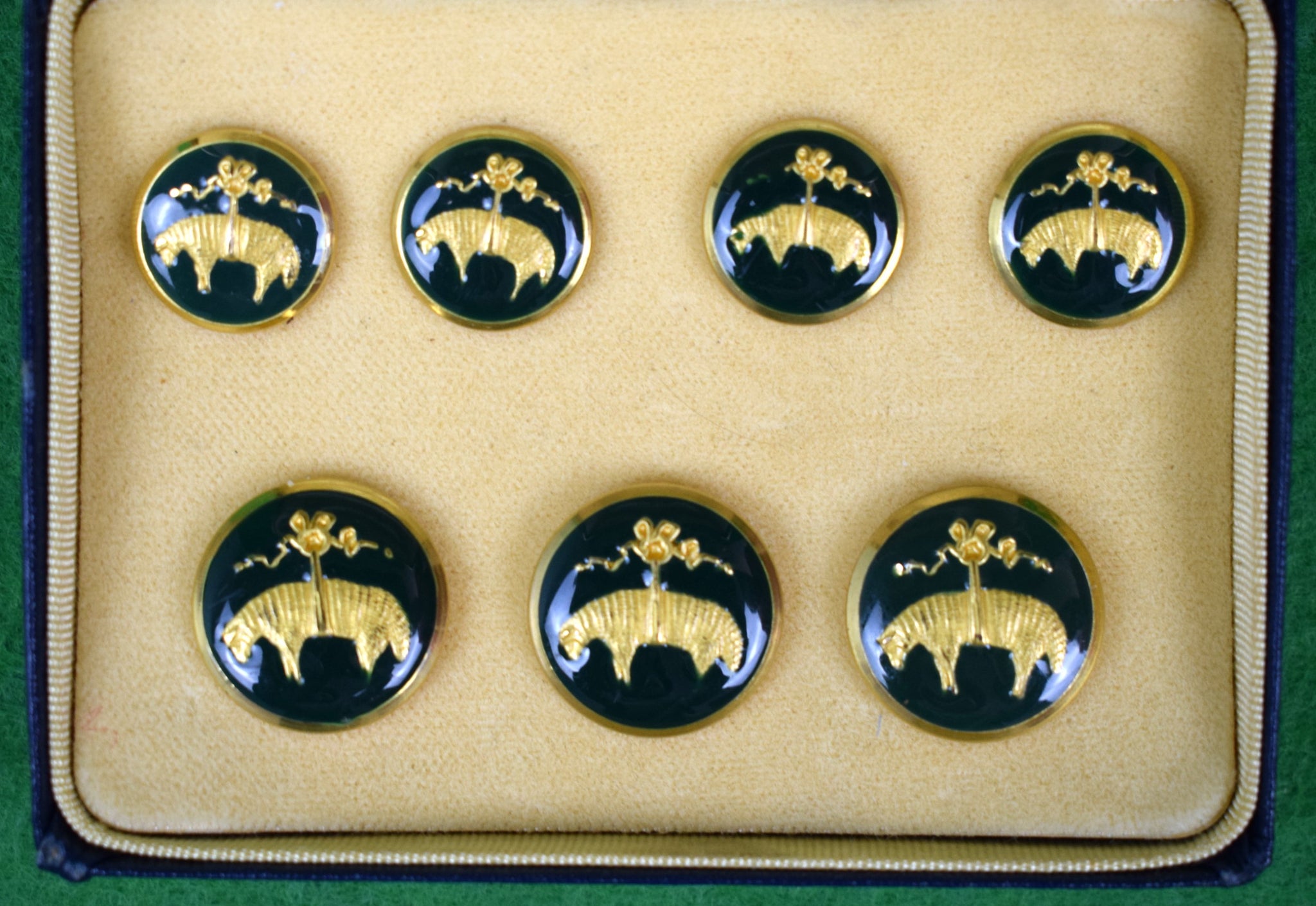 Gbrook Buttons Box Set x 7 Brooks Brothers Navy Enamel Golden Fleece Buttons (New in