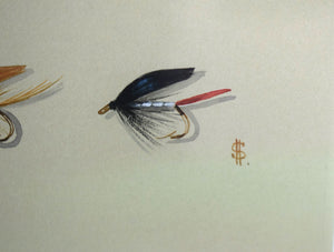 "7 Wet Trout Flies" 1997 Watercolour by (British, Harry Spencer)