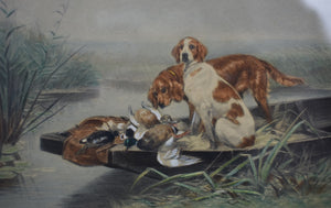 "French c1895 Color Plate Depicting Two Hunting Dogs w/ Ducks On A Skiff"
