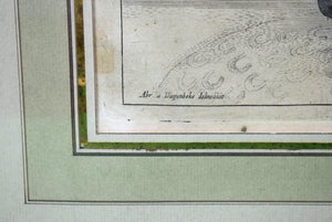 "Four Cavalier Horseman Hand-Coloured Lithograph" Plate 36.