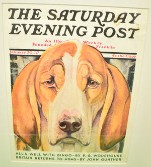The Saturday Evening Post January 30, 1937 Magazine Cover Of A Fox-Hound by Paul Bransom