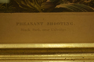 Pheasant Shooting Hand-Engraved Litho Black Park, Near Uxbridge Drawn by R Havell