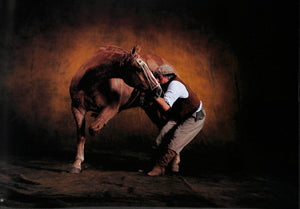 "Horses" 2008 ARTHUS-BERTRAND, Yann (SOLD)