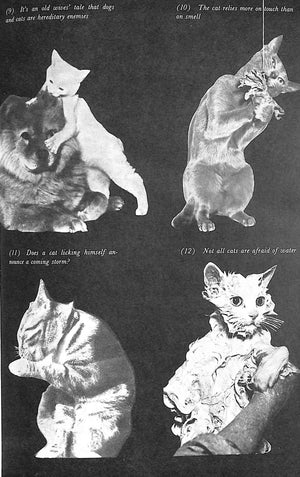 "Her Majesty The Cat" 1957 MERY, Fernand