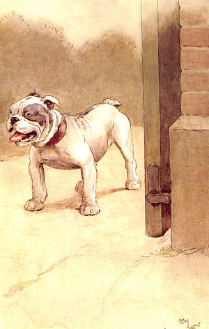 "Our Friend The Dog" 1913 MAETERLINCK, Maurice