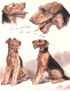"Diana Thorne's Dogs: An Album Of Drawings" 1944 THORNE, Diana