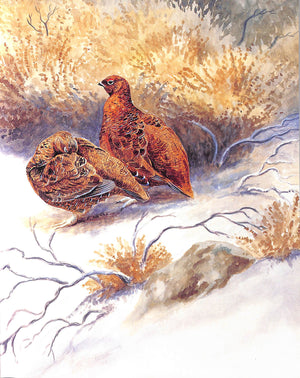 "A Passion For Grouse" 2001 GUDGEON, Simon (SIGNED)