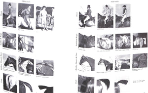 "The Dictionary of British Equestrian Artists" Mitchell, Sally