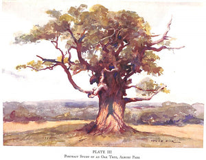 "On Drawing And Painting Trees" 1936 HILL, Adrian
