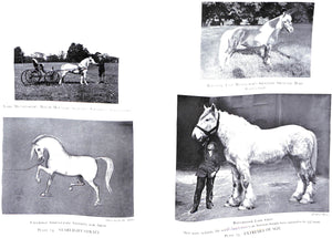 "Thoroughbred Racing Stock And Its Ancestors : The Authentic Origin Of Pure Blood" 1938 WENTWORTH, Lady