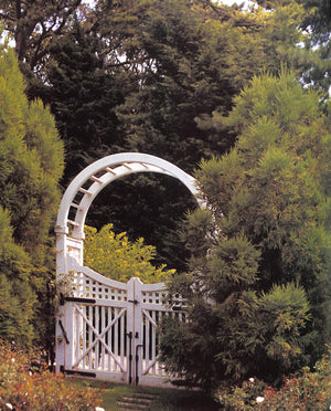 "Whitmore's Private Hampton Gardens" 2001 THOMAS, WIlliam [text by]