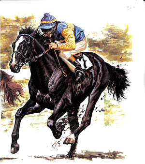"Champion Horses" 1983 BONGIANNI, Maurizio