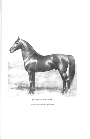 "Famous Saddle Horses: Stories About The Most Important Horses In The Early Days Of the American Saddle Horse" 1936 Susanne [compiled by]