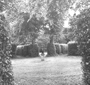 "Lost Demesnes: Irish Landscape Gardening 1660-1845" 1976 MALINS, Edward