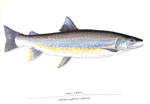 "Trout: An Illustrated History" 1997 PROSEK, James