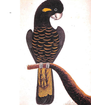"Birds: The Art Of Ornithology" 2005 ELPHICK, Jonathan
