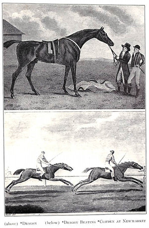 Early American Turf Stock 1730-1830 Volumes I & II & The Background of The American Stud Book