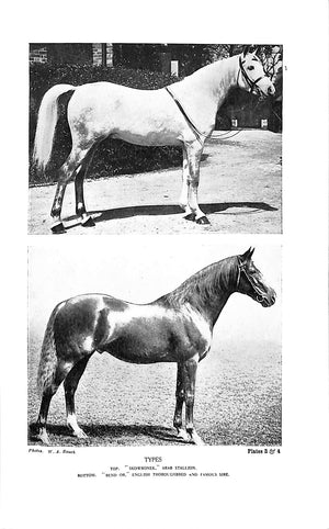 "Horsemanship: The Way Of A Man With A Horse" 1948 BROOKE, Maj. Gen. Geoffrey