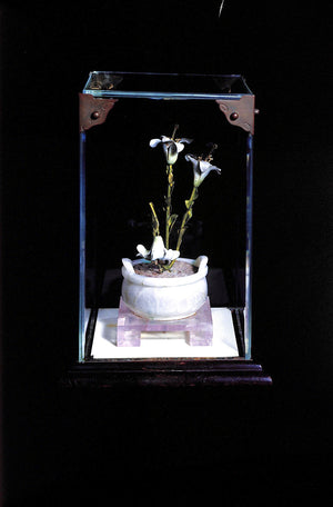 "Reflections Of Elegance: Cartier Jewels From The Lindemann Collection" 1988 (SOLD)