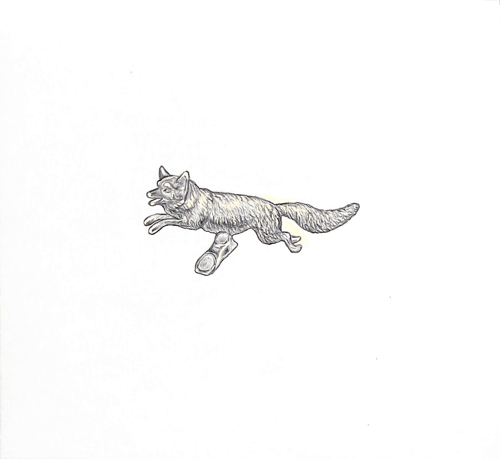 Graphitew Fox Silver Fox Car Mascot Graphite Drawing