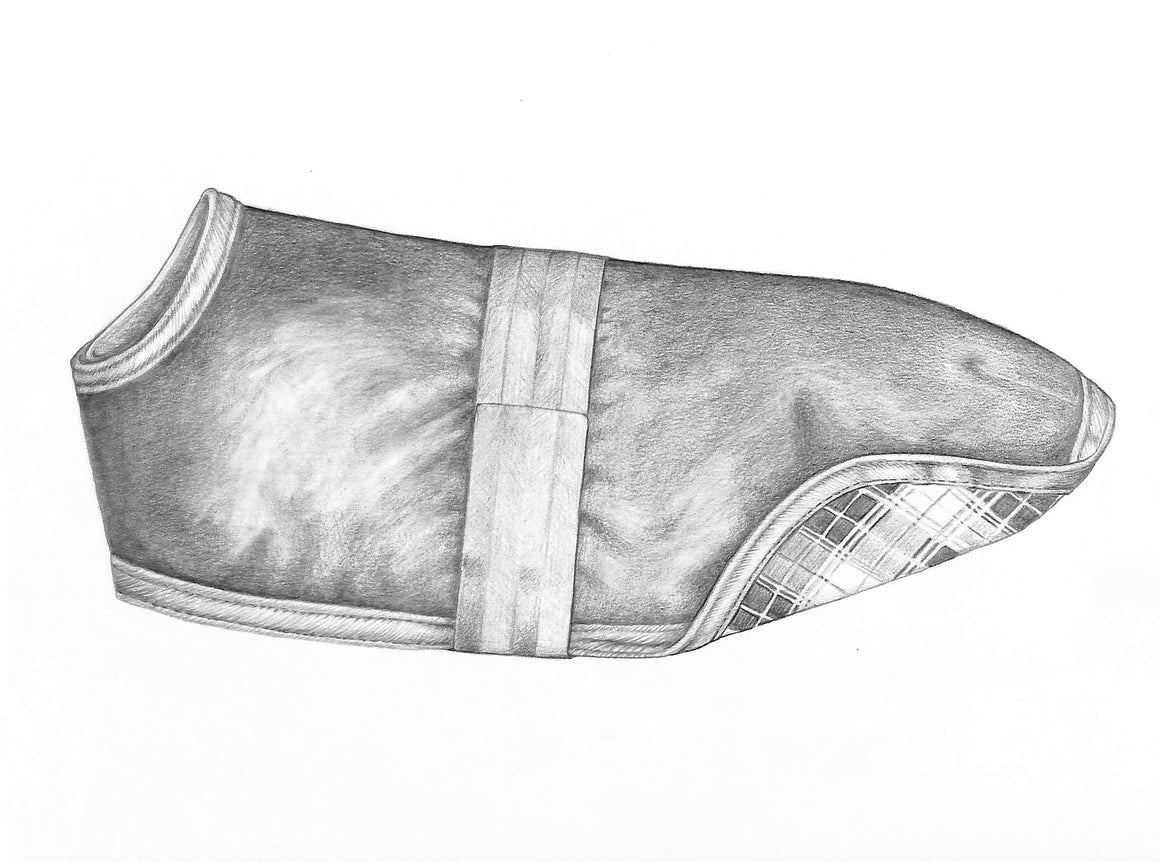 Horse Blanket Graphite Drawing