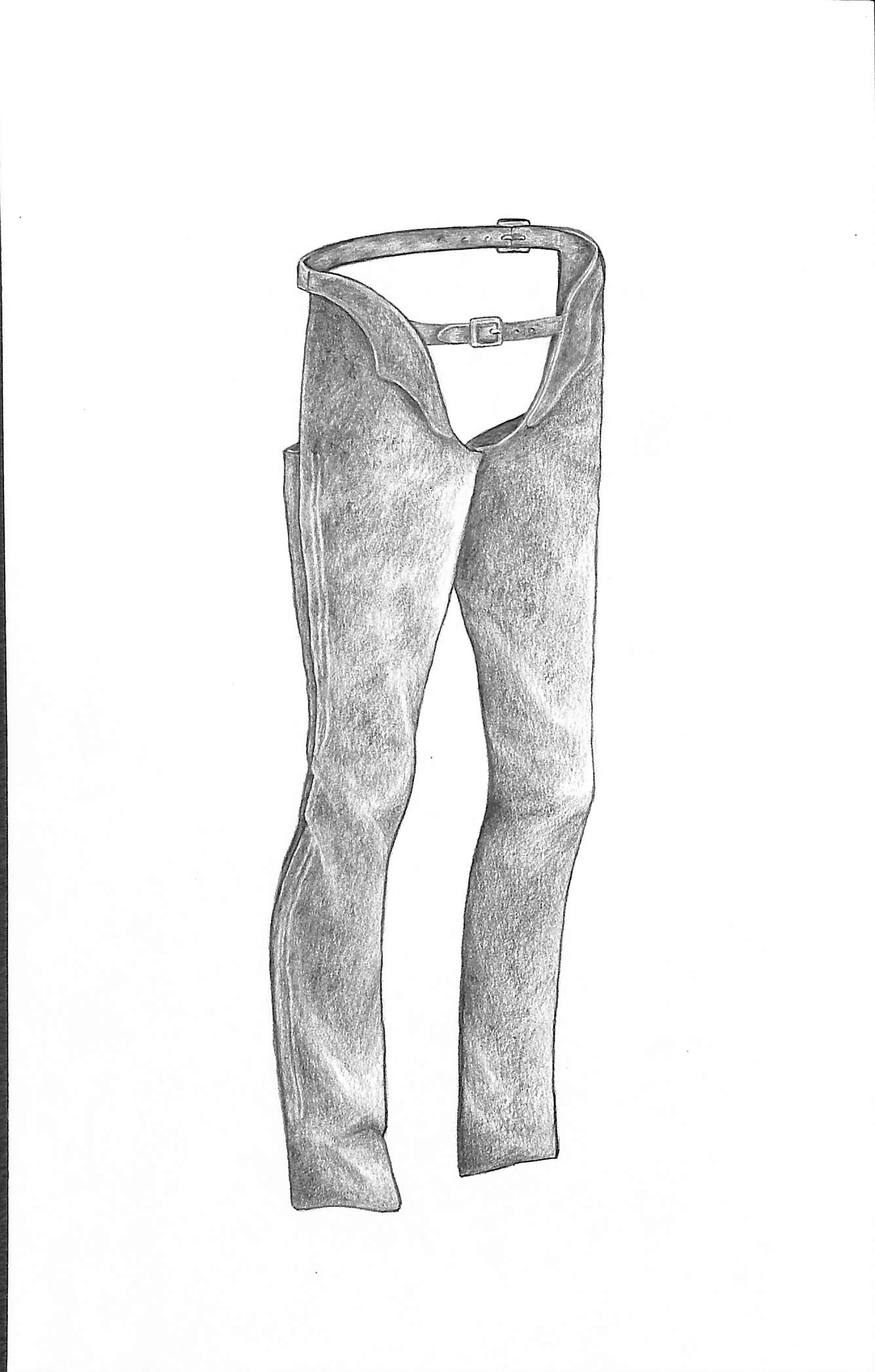 Draw A Chaps Devonaire Chaps Graphite Drawing