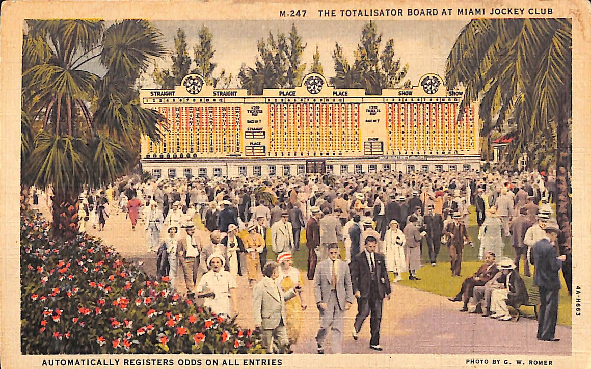 "The Totalisator Board at Miami Jockey Club" Postcard