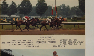 Country Winner's Circle Framed Color c1977 Photo in Custom Racing Stripes