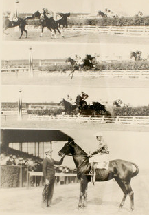 "Ivory 2nd 1930 B&W Framed Steeplechase Photo" (SOLD)
