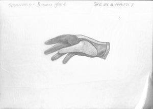 Thornhill Brown Glove Graphite Drawing
