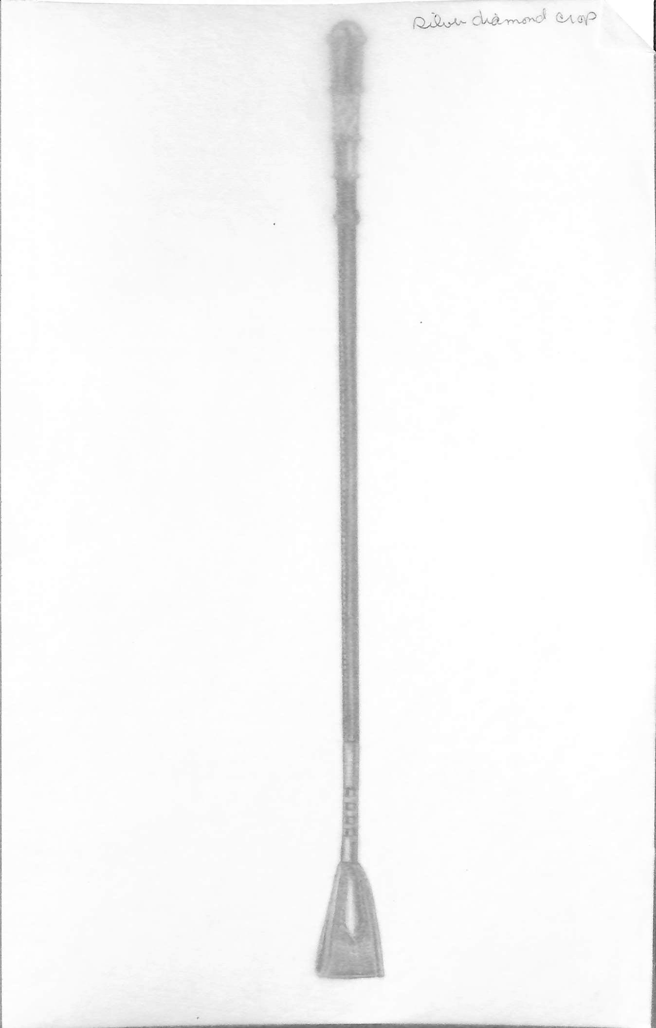 Silver Crop silver-crop