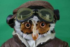 The London Owl Company 'The Aviator' New In Box w/ Goggles/ Flight Log Book & Suede Head Gear