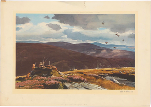 Ogden Minton Pleissner "Driven Grouse - Glancie Beat" 1959 (SOLD)