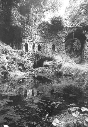 "Lost Demesnes: Irish Landscape Gardening 1660-1845" 1976 MALINS, Edward