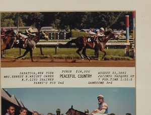 Peaceful Country c1981 Winner's Enclosure Framed Photo