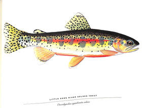 "Trout: An Illustrated History" 1997 PROSEK, James