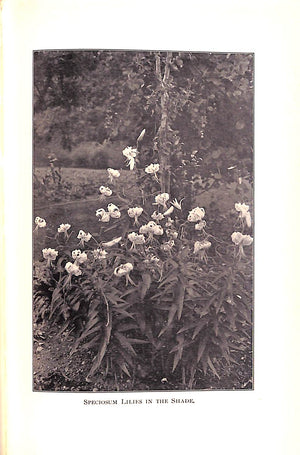 "The Garden, You, And I" 1910 Barbara
