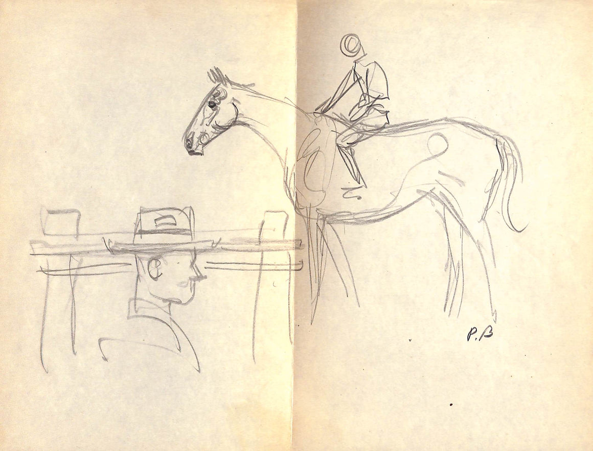 'Horse & Jockey' Pencil Drawing by Paul Brown