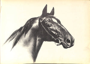 "Black, Bay And Chestnut: Profiles Of Twenty Favorite Horses" 1939 ANDERSON, C.W.