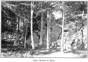 "Nature & Character at Granite Bay" Goodsell, Daniel A.