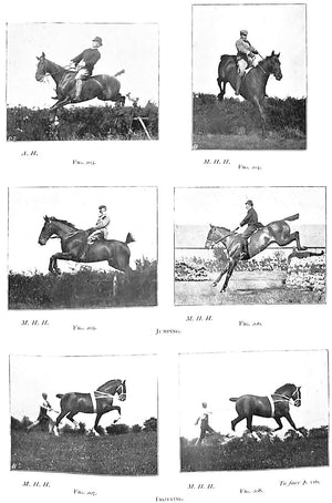 "Points Of The Horse" 1897 HAYES, Capt M. Horace