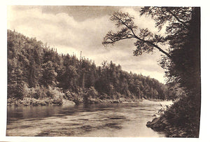 "Observations On A Salmon River" GRISWOLD, F. Gray