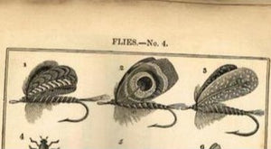"The Angler's Guide On The Art Of Angling" 1833 SALTER, T.F. Esq