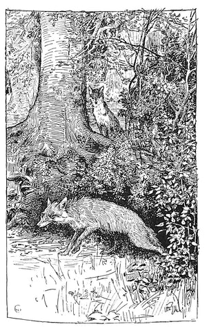 "Reynard The Fox" 1895 JACOBS, Joseph